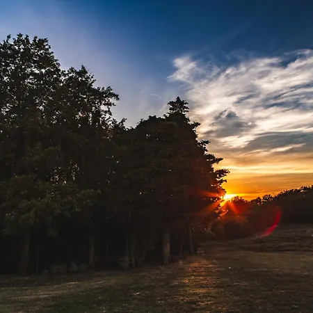 Bauernhof Masseria Del Bosco - Podere Poderuccio Chianciano Terme