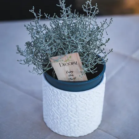 Masseria Del Bosco - Podere Poderuccio Bauernhof Chianciano Terme