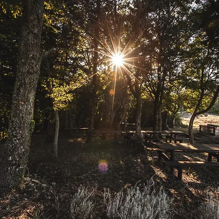 Masseria Del Bosco - Podere Poderuccio *
