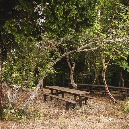 Bauernhof Masseria Del Bosco - Podere Poderuccio