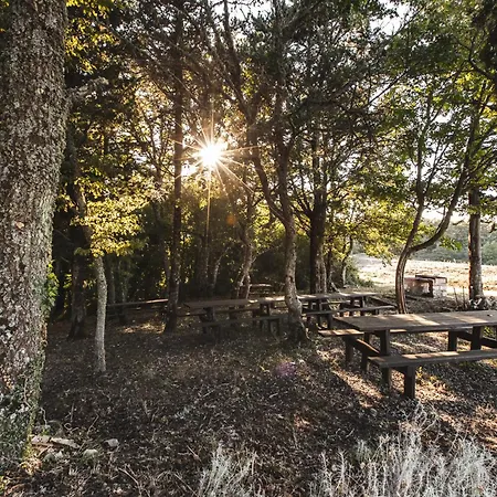 Masseria Del Bosco - Podere Poderuccio Çiftlik konaklama