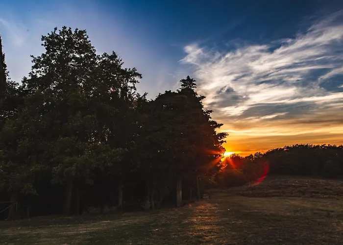 Lantgård Masseria Del Bosco - Podere Poderuccio Chianciano Terme