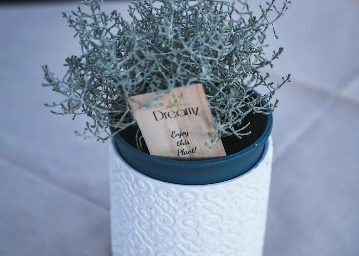 Masseria Del Bosco - Podere Poderuccio 农家乐 基安奇安诺泰尔梅