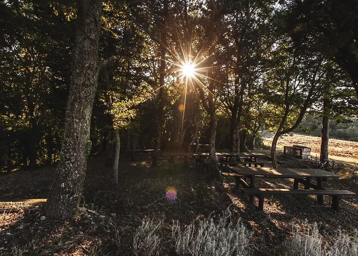Masseria Del Bosco - Podere Poderuccio *