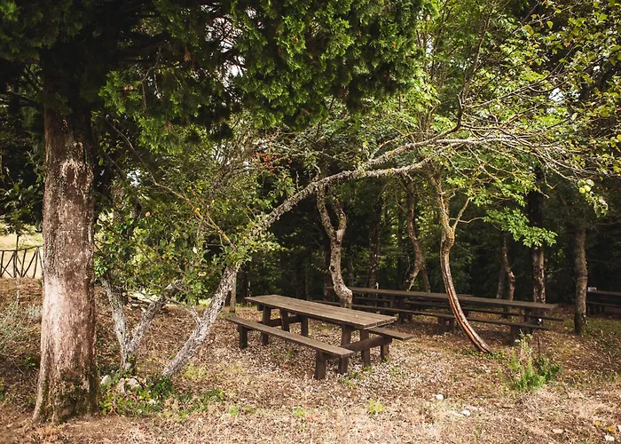 农家乐 Masseria Del Bosco - Podere Poderuccio