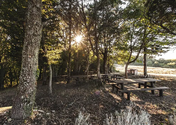 Masseria Del Bosco - Podere Poderuccio 农家乐